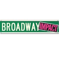 BROADWAY IMPACT Alert: Marriage Equality Vote Coming Up Soon In NY State Senate Video